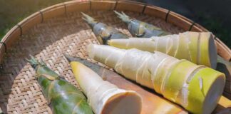 Fresh bamboo shoots arranged in a woven basket