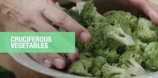 Tuesday Tips: How plant-based foods help fight cancer