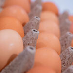 Close-up of a carton filled with brown eggs