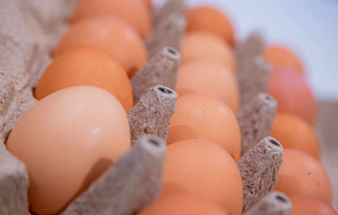 shutterstock2579916211jpg Close-up of a carton filled with brown eggs