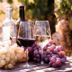 Wine May Be Rewiring Your Brain Two glasses of wine beside fresh grapes in a vineyard