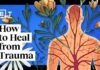 6 ways to heal trauma without medication | Bessel van der