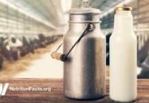 Bovine Leukemia Virus as a Cause of Breast Cancer