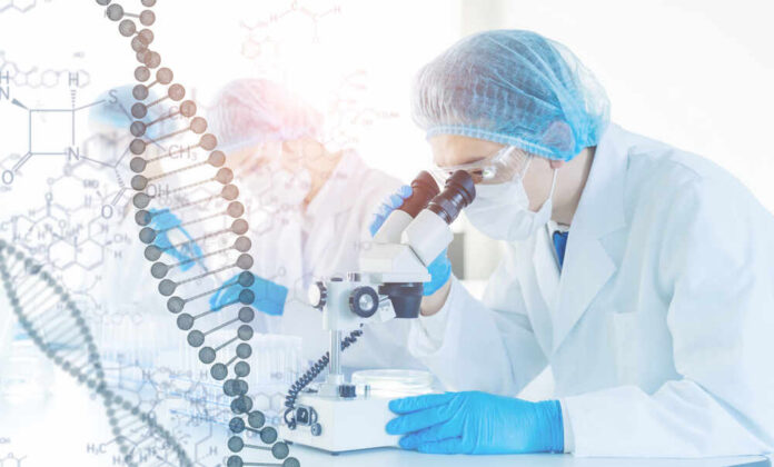 Scientist examining samples under a microscope in a laboratory