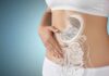 Illustration of a woman's digestive system with a focus on the stomach