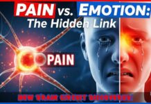 Researchers Uncover Hidden Brain Pathway Behind Pain The Secret Behind Chronic Pain Relief!