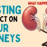 Intermittent Fasting’s Silent Kidney Risk What Happens to Your Kidneys When You Do Intermittent Fasting? | Health Science Explained
