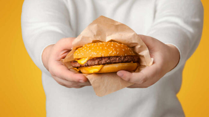 shutterstock2529854783jpg A person holding a cheeseburger wrapped in paper against a yellow background