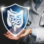Immune Flaw, Not Food, Fuels IBD A doctor holding a digital shield with a graphic of the digestive system