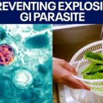 Food Safety Shock: Cooking Beats Salad Cyclosporiasis: How to prevent the produce parasite