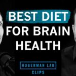 Best Diet to Improve & Maintain Brain Health | Dr. Tommy Wood & Dr. Andrew Huberman