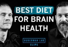 Best Diet to Improve & Maintain Brain Health Best Diet to Improve & Maintain Brain Health | Dr. Tommy Wood & Dr. Andrew Huberman
