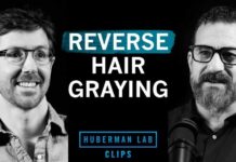 How to Reverse Hair Graying | Dr. Martin Picard & Dr. Andrew Huberman