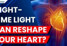 Nighttime Light Quietly Reshaping Hearts Excessive Light at Night May Change Heart Structure and Function: Study