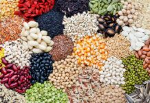 Assorted legumes, grains, and seeds arranged in colorful piles