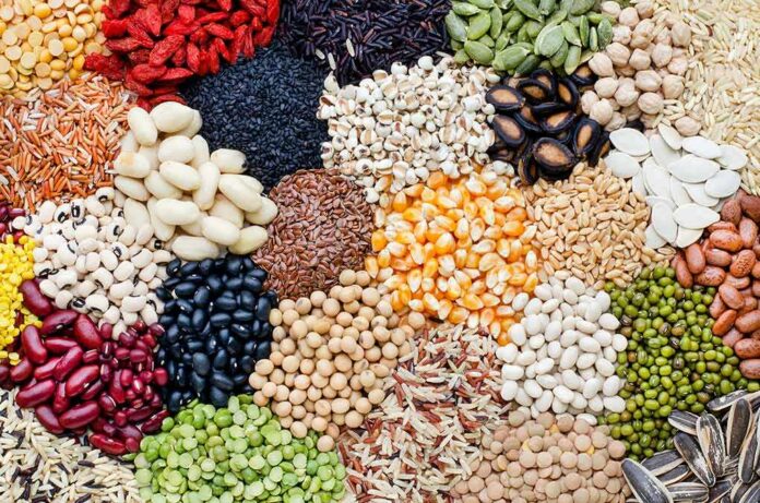 Assorted legumes, grains, and seeds arranged in colorful piles