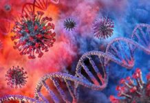 Coronavirus particles and DNA strands in vibrant colors
