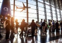 Runway Mosquito Triggers Fatal Airport Outbreak Passengers queue inside an airport terminal at sunset