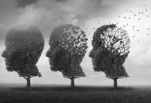 Fitness Drop Linked To Memory Slide Three trees shaped like human heads losing leaves